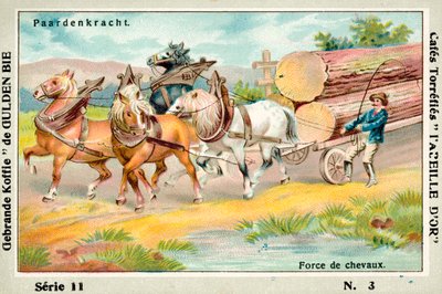 Puissance du cheval - European School